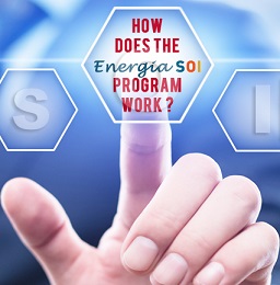 How does our program work